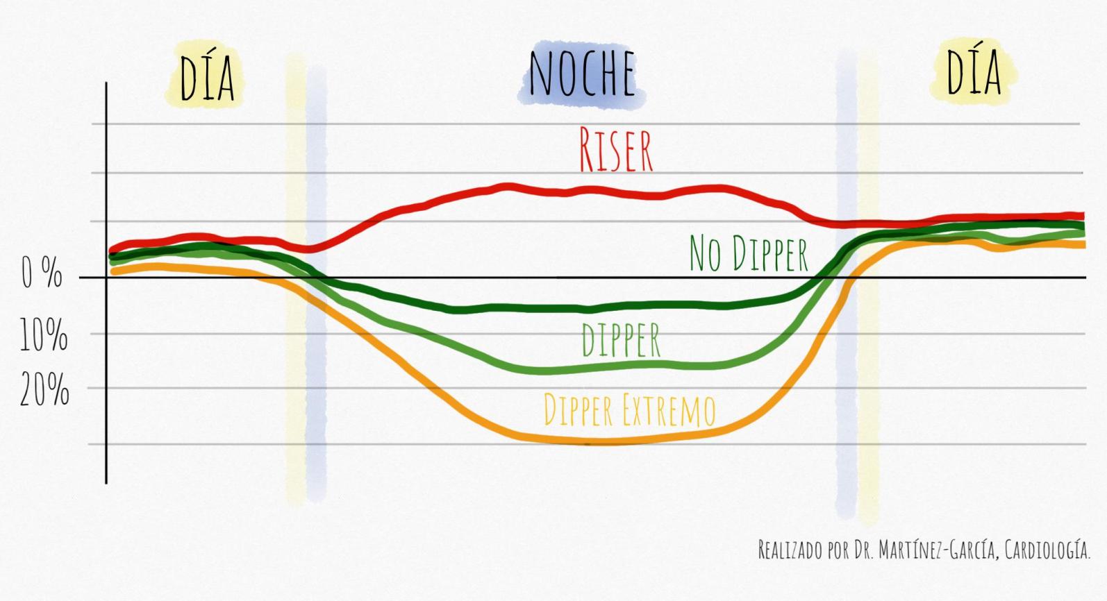 Tipos de patrón circadiano de presión arterial